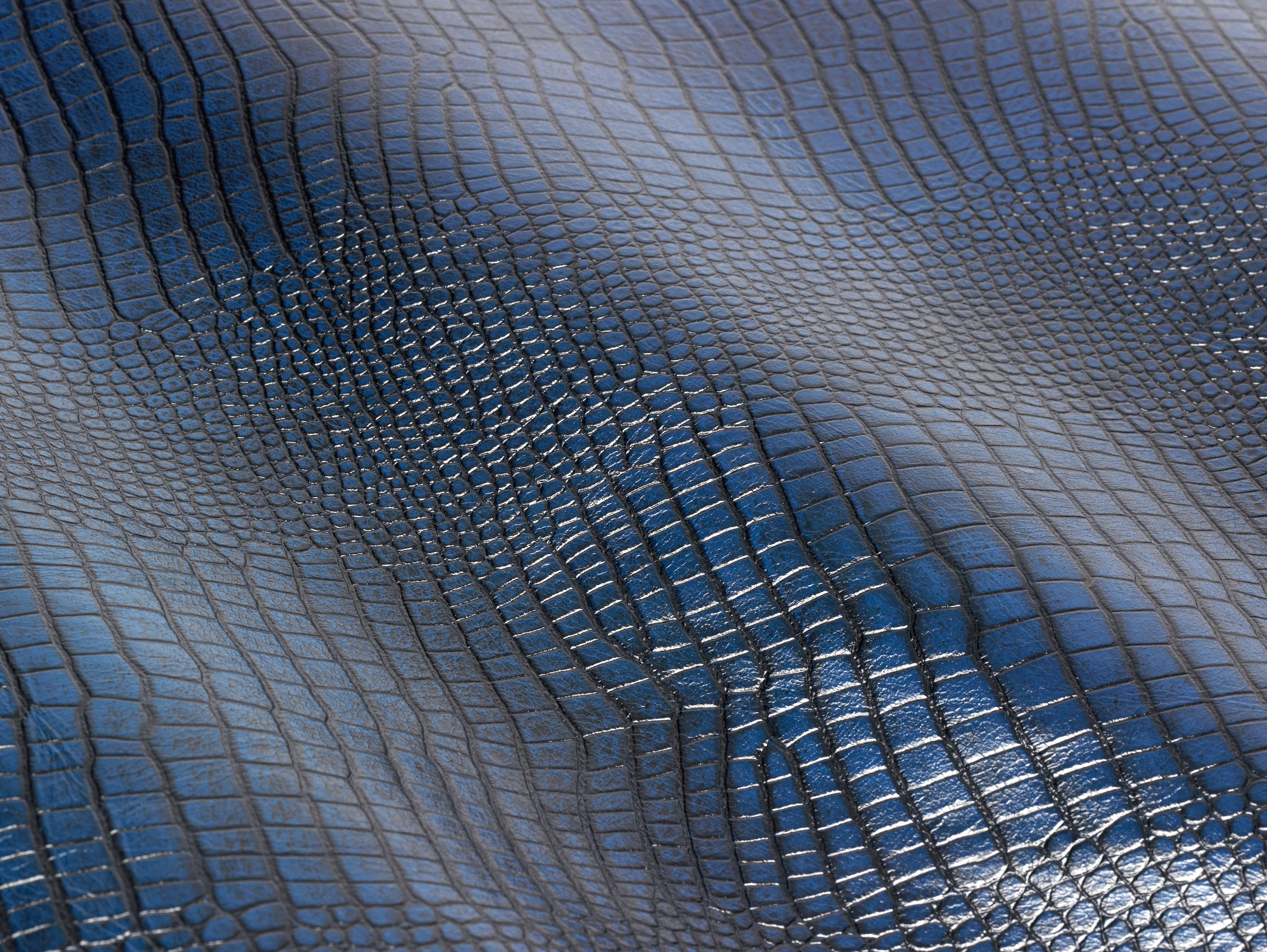 Lizard Blue, Embossed Leather, Products Prodital Leathers